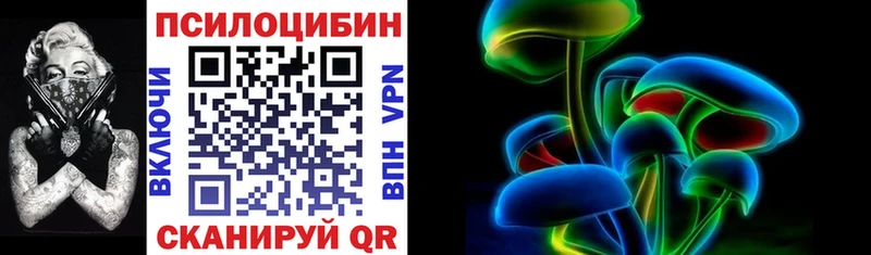 маркетплейс как зайти  Ардатов  Галлюциногенные грибы мицелий 
